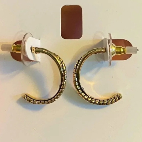 Twisted Double-Row C-Hoop Earrings - Picture 1 of 2
